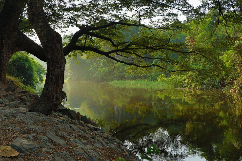 Short Story: By The Pond