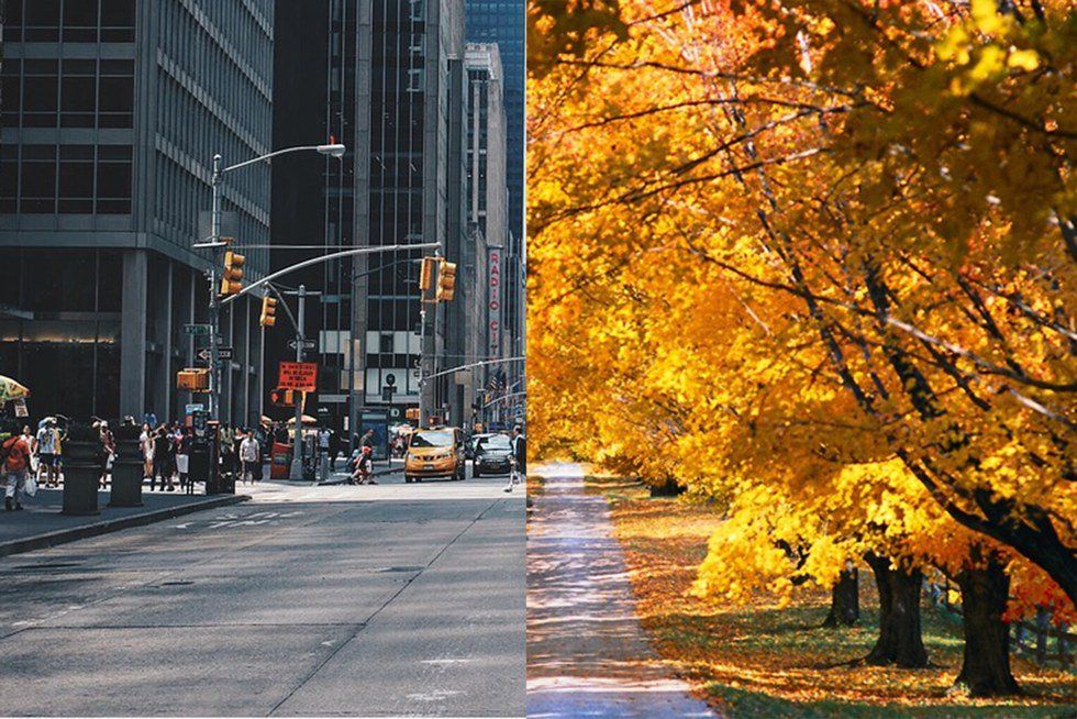 Living in the Country vs. City