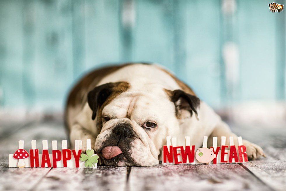 15 New Year's Resolutions You'll Probably Make