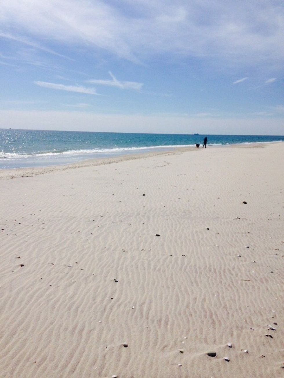 Winter Activities - East End of Long Island