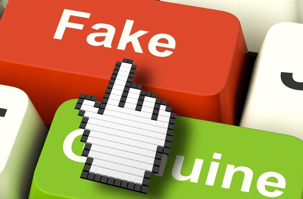 The Everyday Internet User's Guide to Fake News