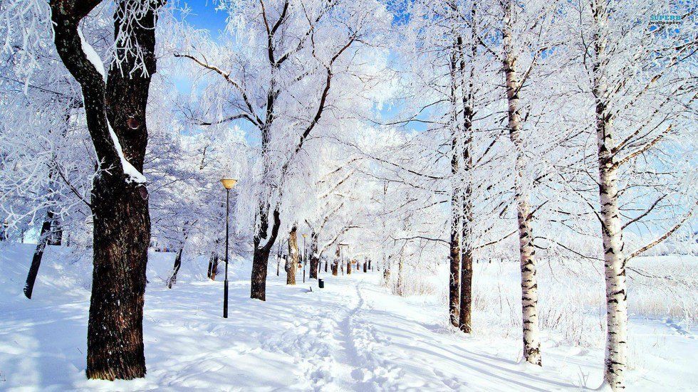 7 Reasons To Love Winter