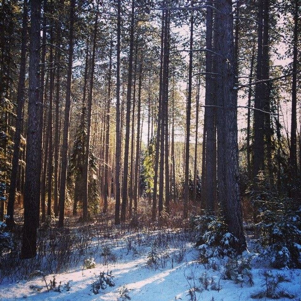 15 Reasons Why Winter Is Actually the Best