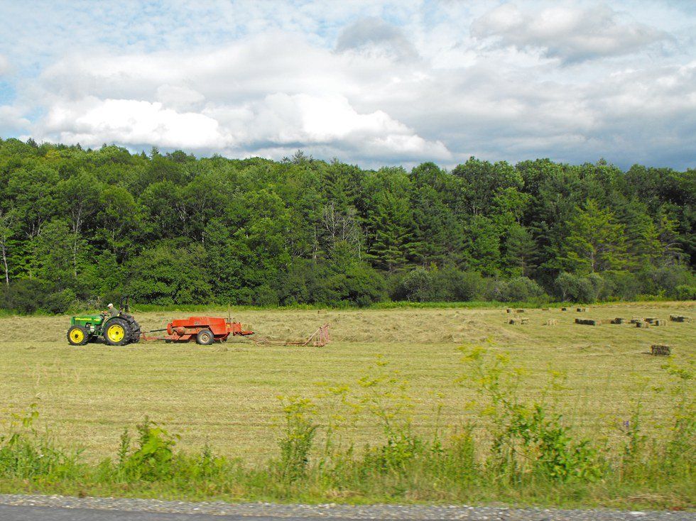 Increased Drug Addiction in Rural America - Seen in Infants