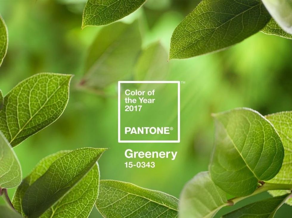 What Pantone's Color Of The Year Says About 2017