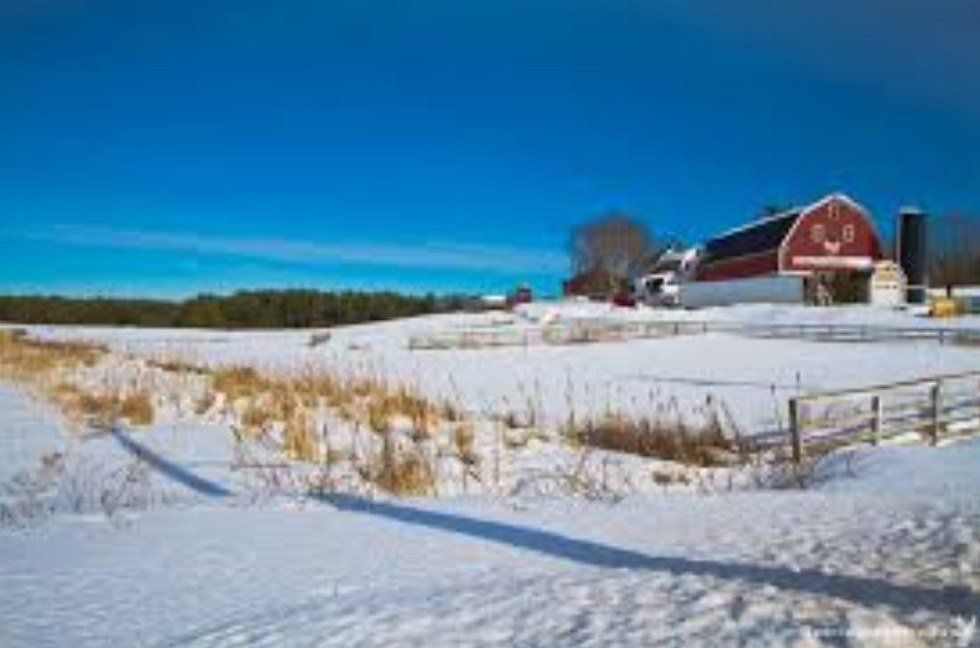 Reasons To Thank A Farmer This Holiday Season