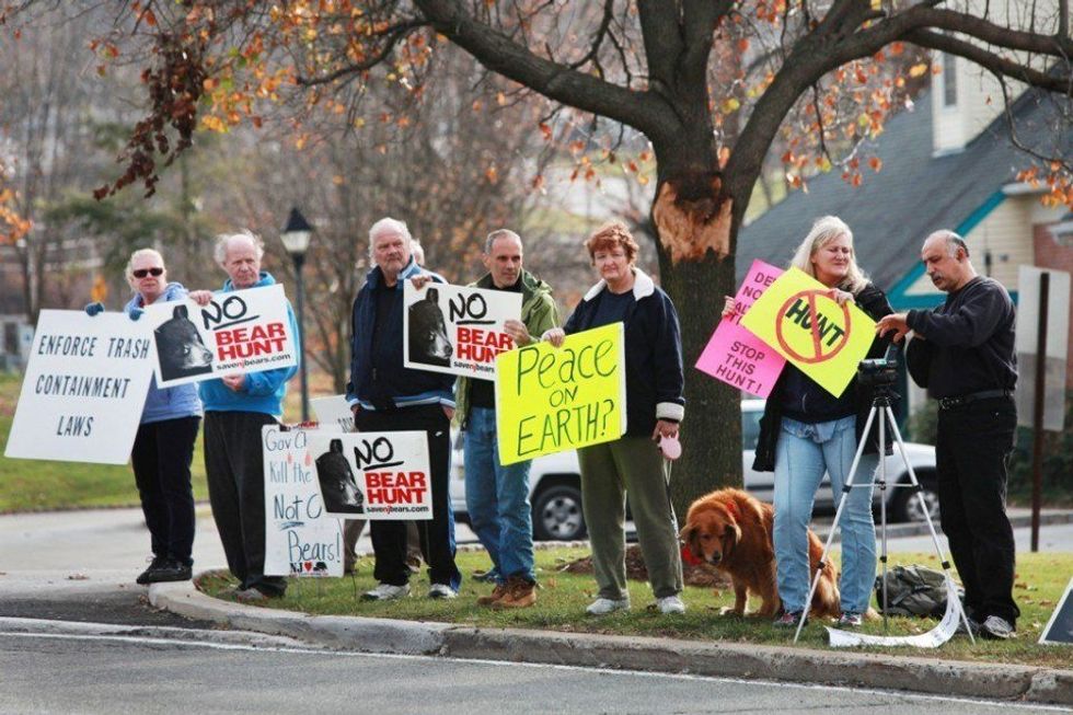 Why You Should Care About New Jersey's Bear Hunt