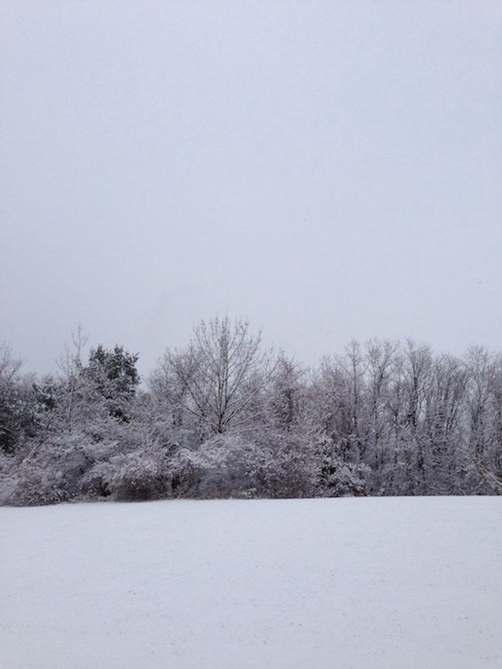 How Global Warming Is Slowly Killing My Christmas Spirit