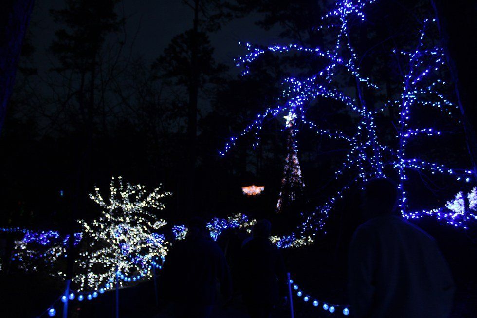 Garvan Woodland Gardens