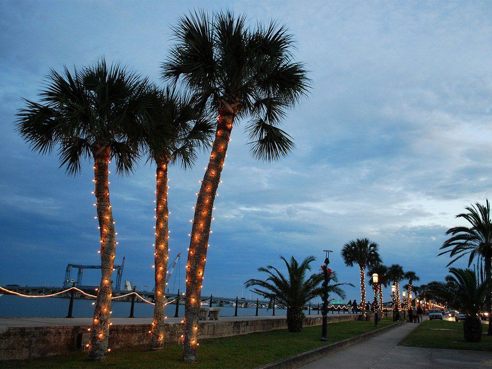 How To Celebrate Christmas Like A Floridian