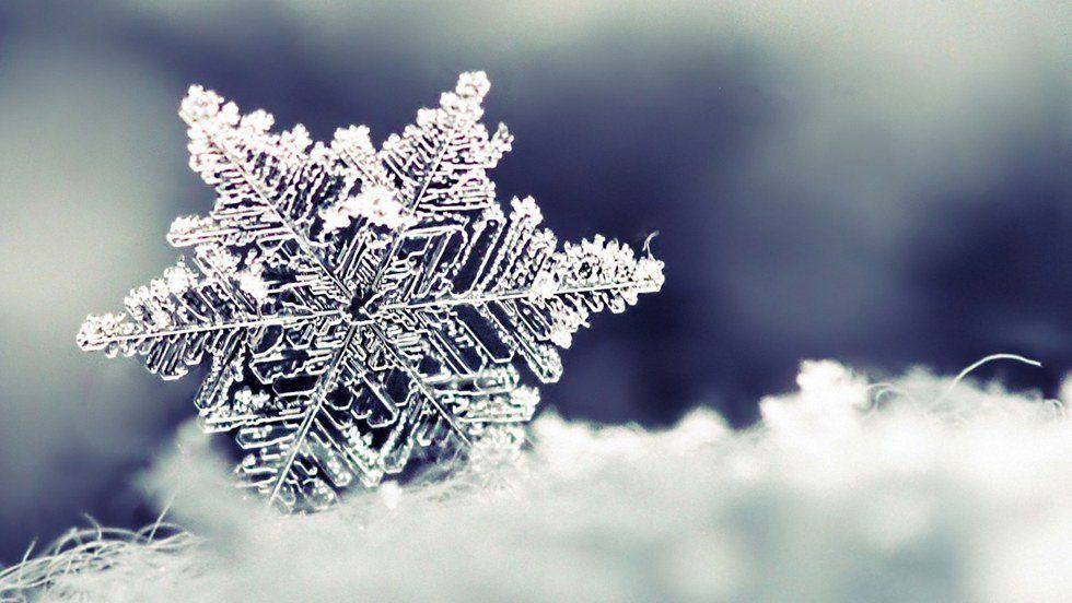 9 Reasons Why Winter Is My Favorite Season