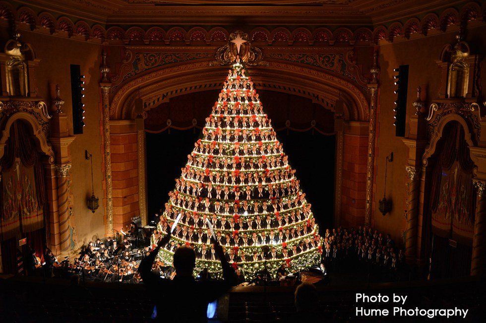 My Experience Singing in America's Tallest Singing Christmas Tree