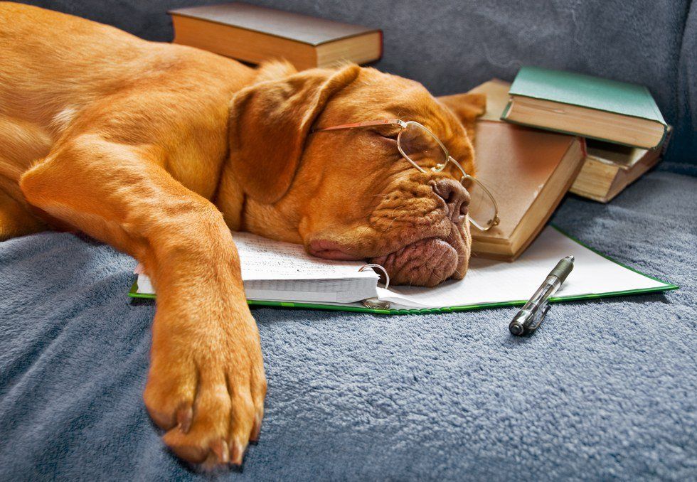 10 Ways To Procrastinate Without Feeling Like You Are