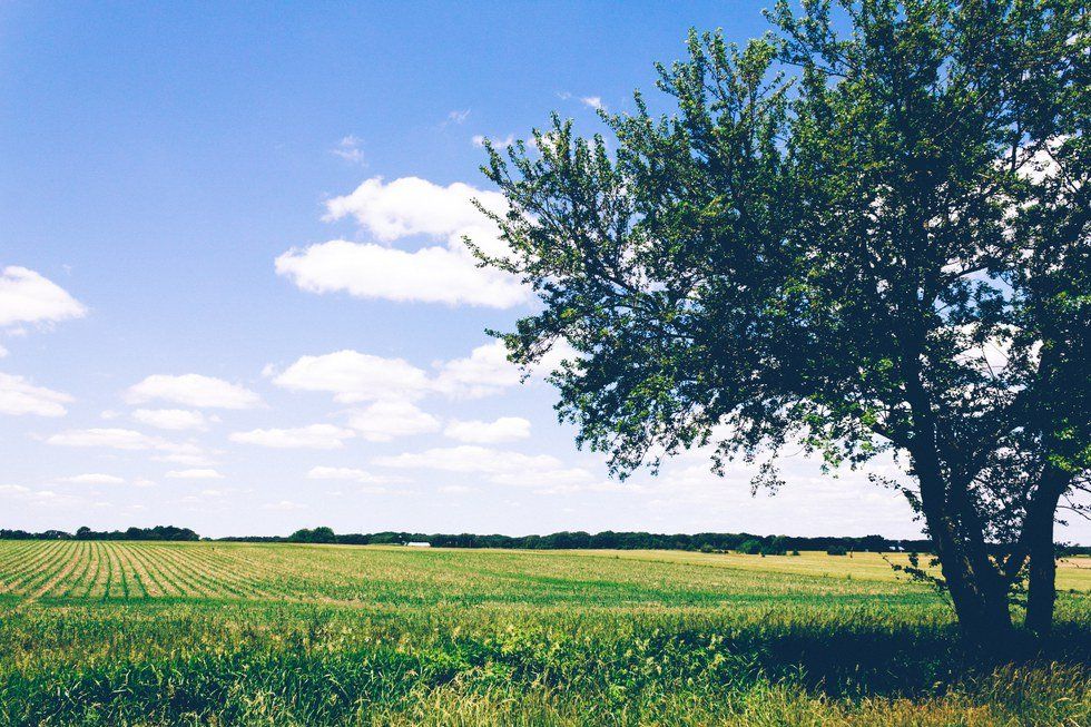 10 Signs You Live In The Country