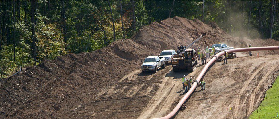 Black Snake Digs Deep In Dakota