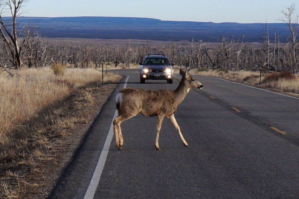 What Can Happen While Driving