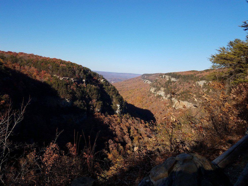 The Beauty Of Cloudland Canyon