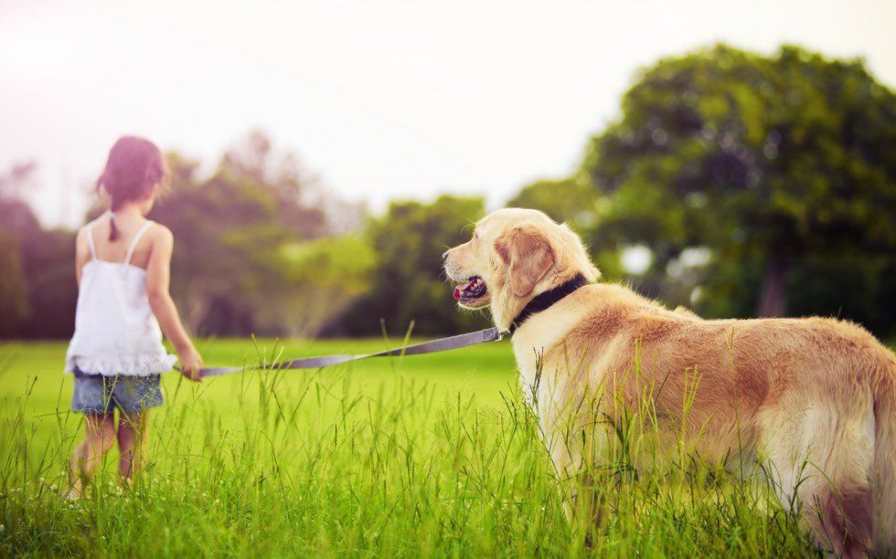 Why Dog Sitting Is Literally The Best