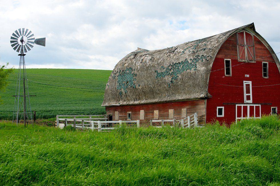 What I Learned From Growing Up On A Family Farm