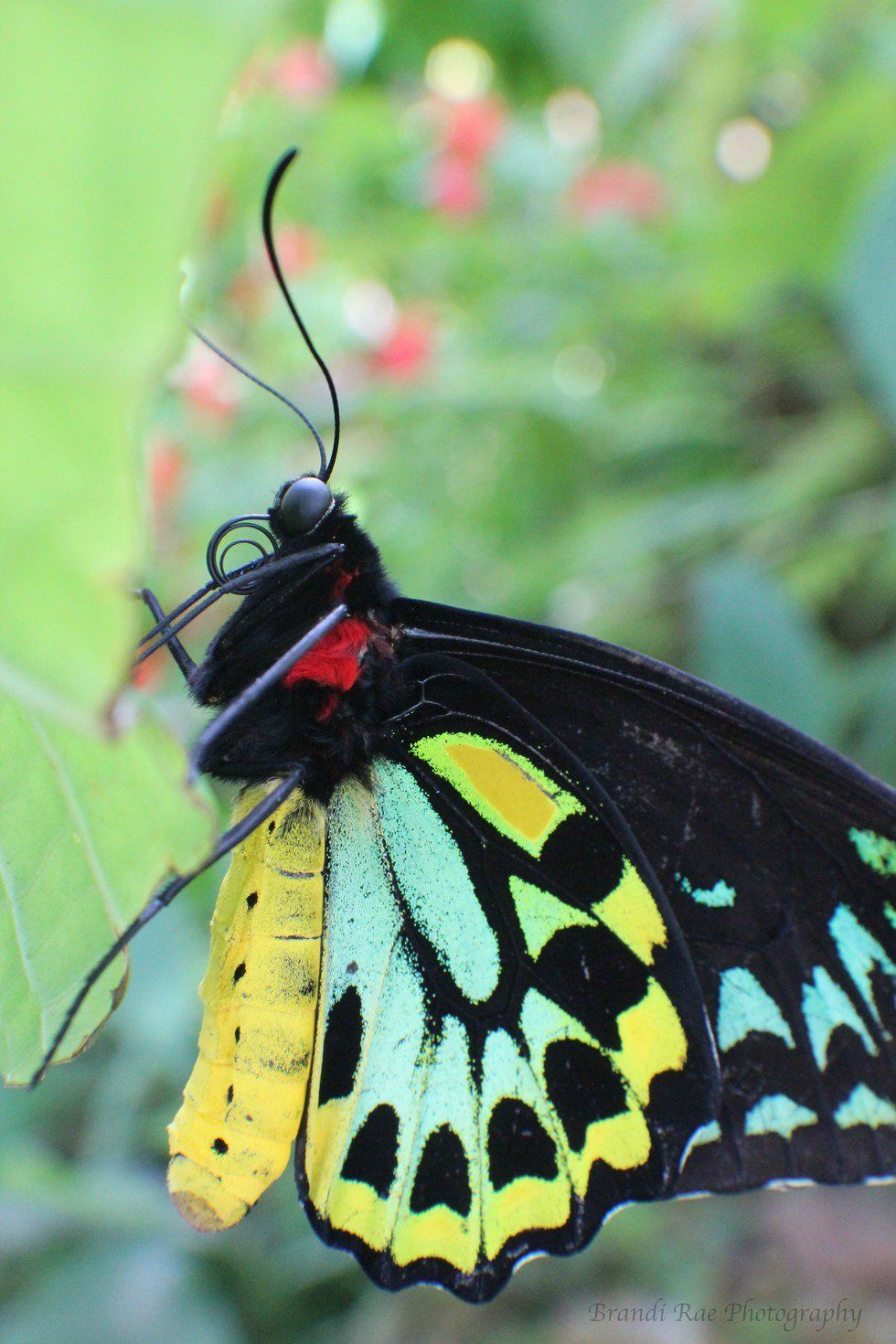 Photo Story: Nature In Different Forms Of Life