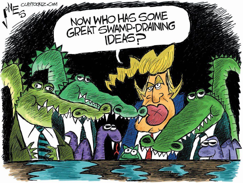 Donald Trump: Professional Business Man, Horrible Swamp Drainer