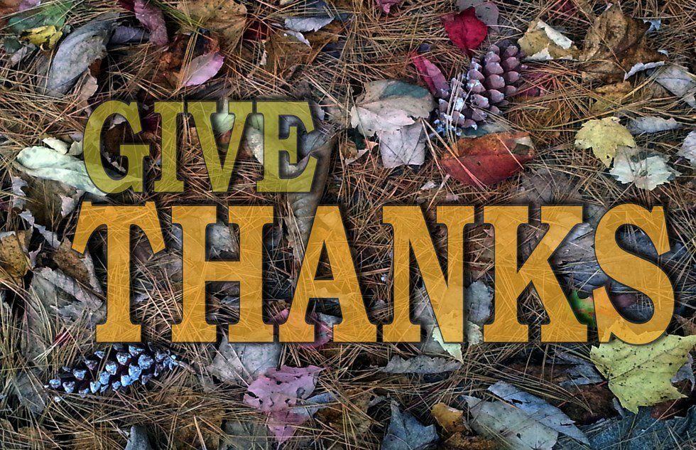 11 Things To Be Thankful For This Thanksgiving