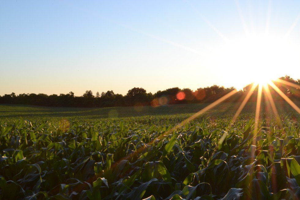 ​What I Simultaneously Love And Hate About Kansas