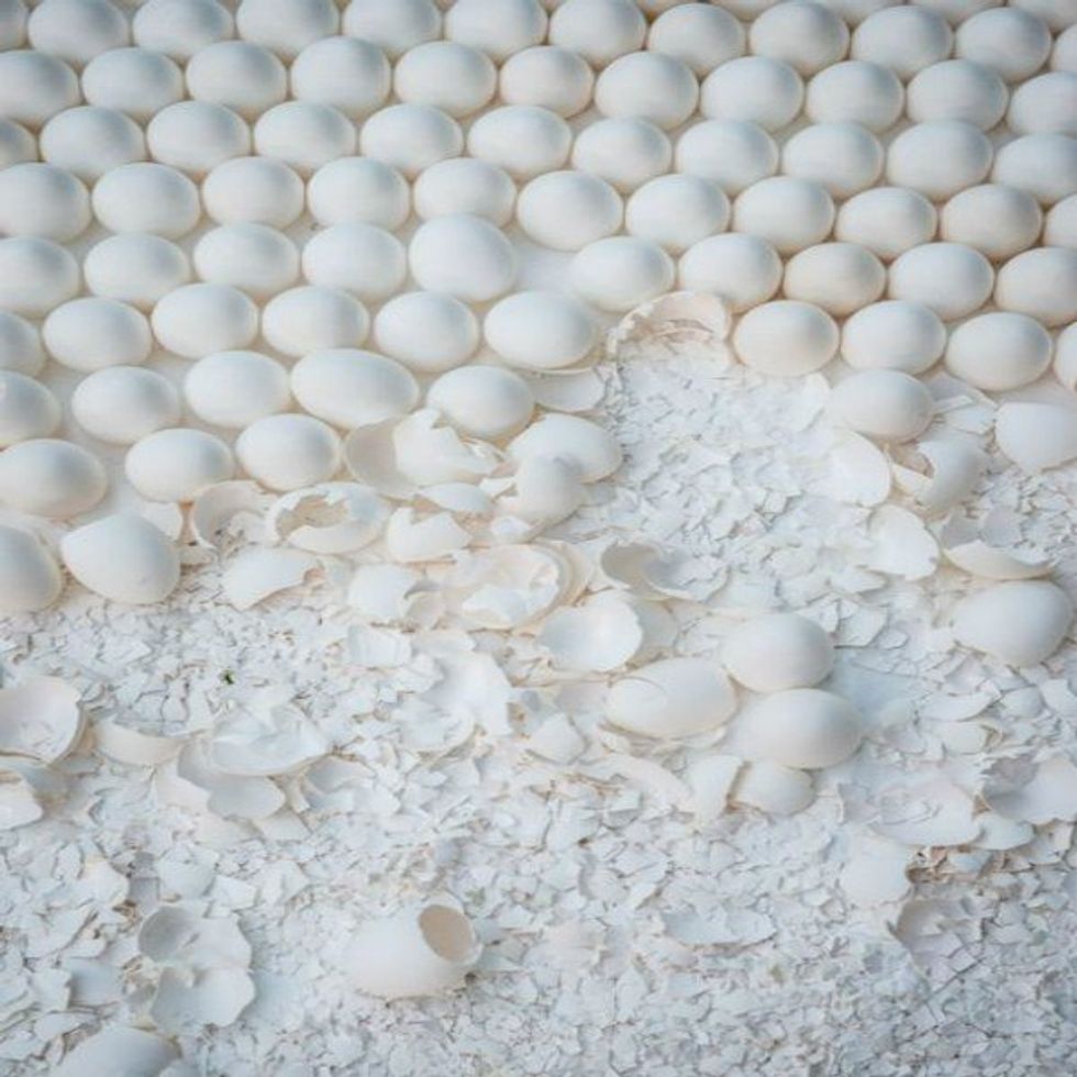 Sleeping, Standing And Dreaming On Eggshells