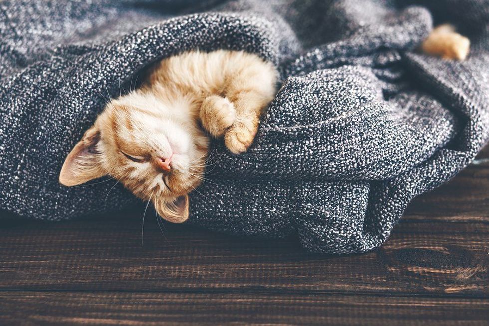 Why Napping Is The Single Greatest Key To Success