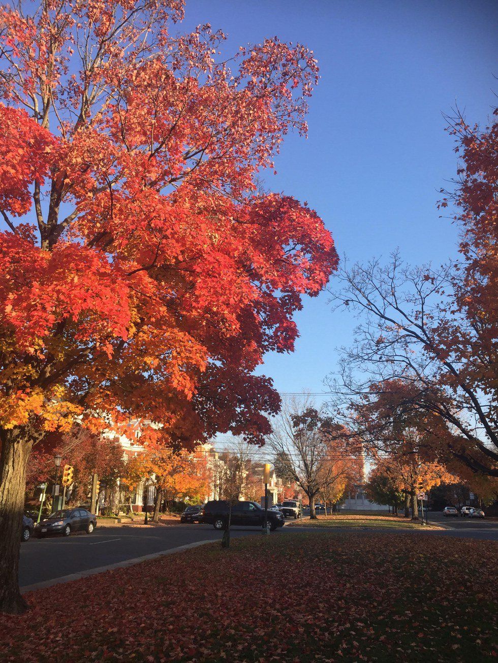 9 Things College Students Love And Hate About Thanksgiving