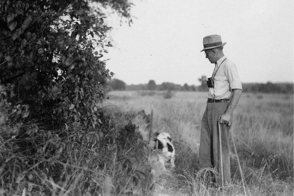 Analysis Of Aldo Leopold’s “Land Ethic”