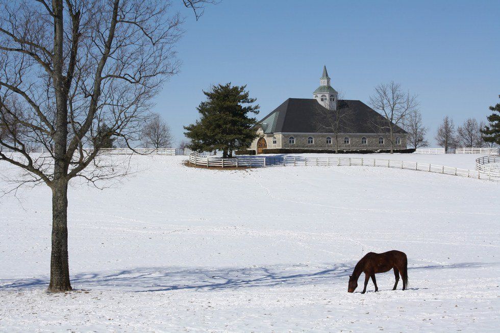 Dear Kentucky Winter