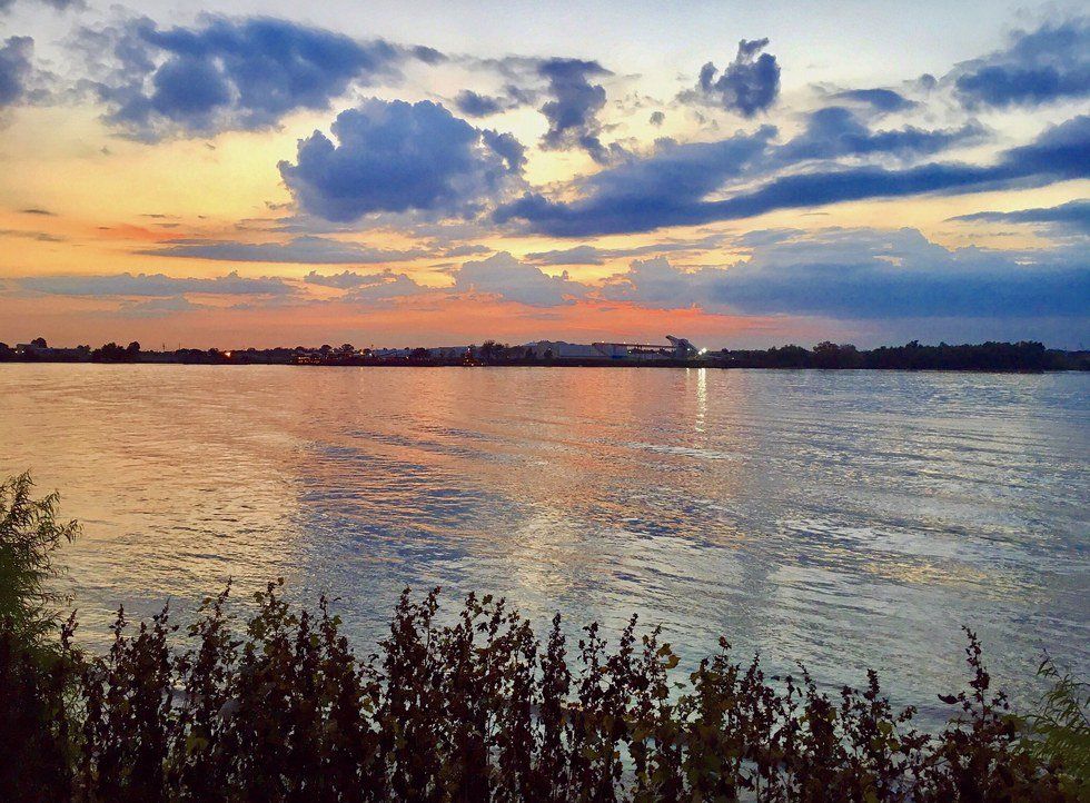 The Best Way To Enjoy The Outdoors in NOLA