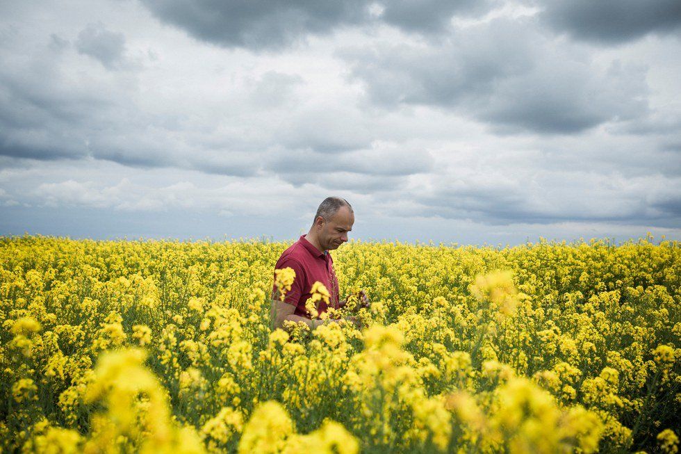 New York Times Article Misses The Point Of GMOs