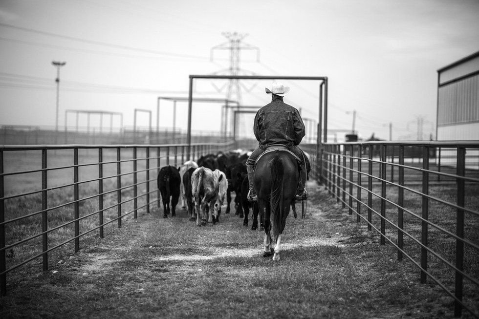 When Your Dad's A Cowboy