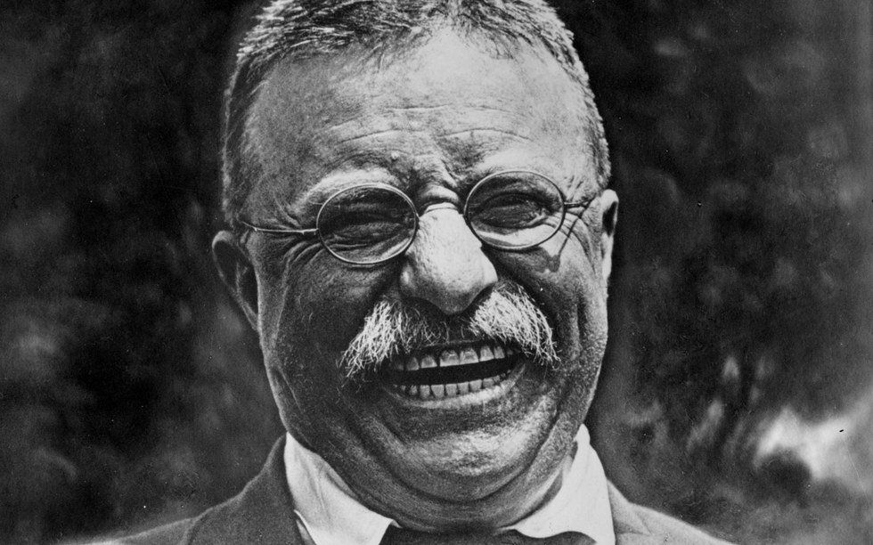 Good Ole Teddy Roosevelt