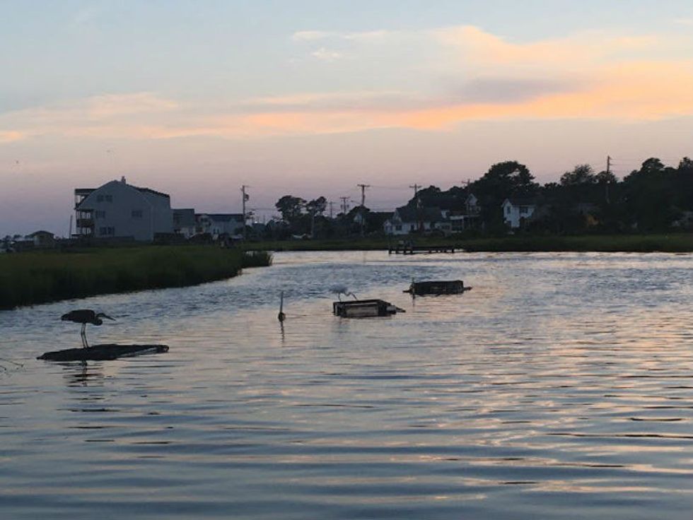 10 Reasons To Visit Chincoteague, Virginia