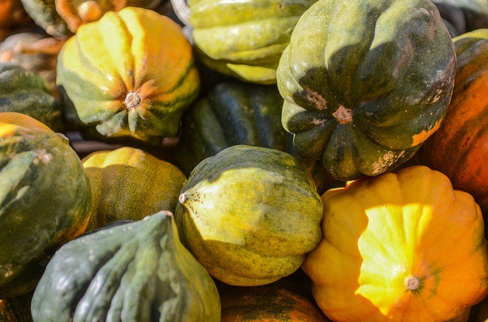 Health Benefits Of Acorn Squash