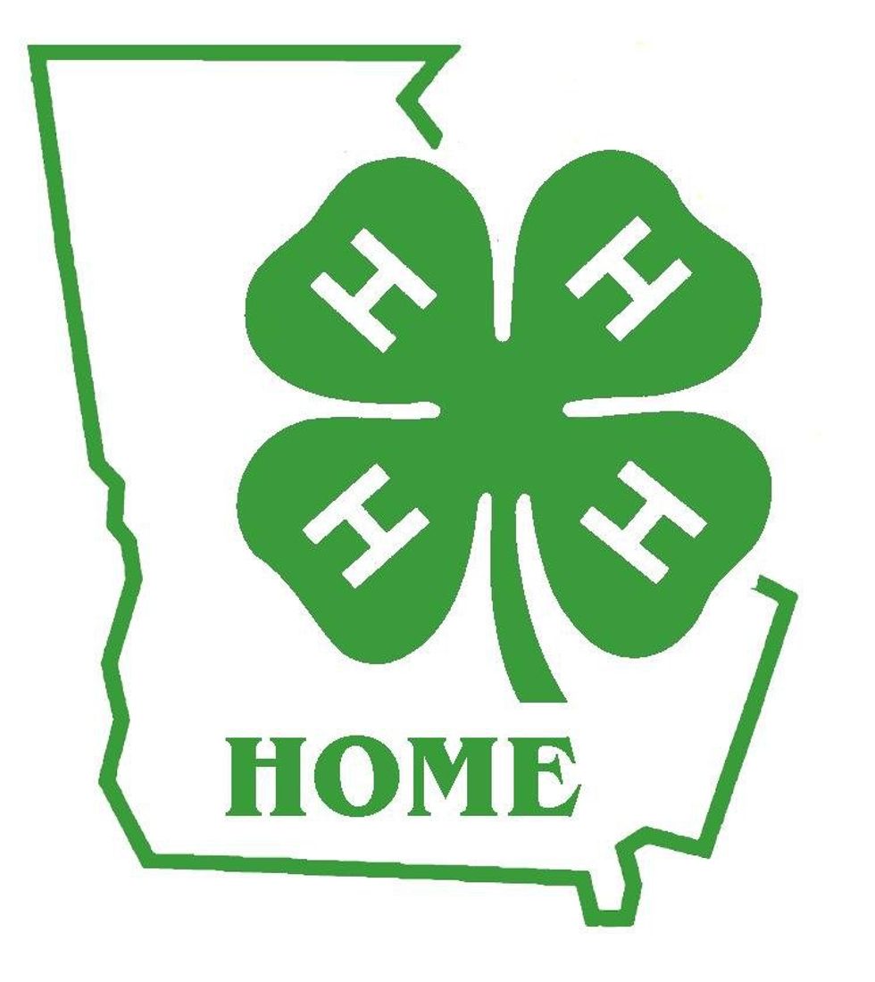 An Open Letter To Georgia 4-H