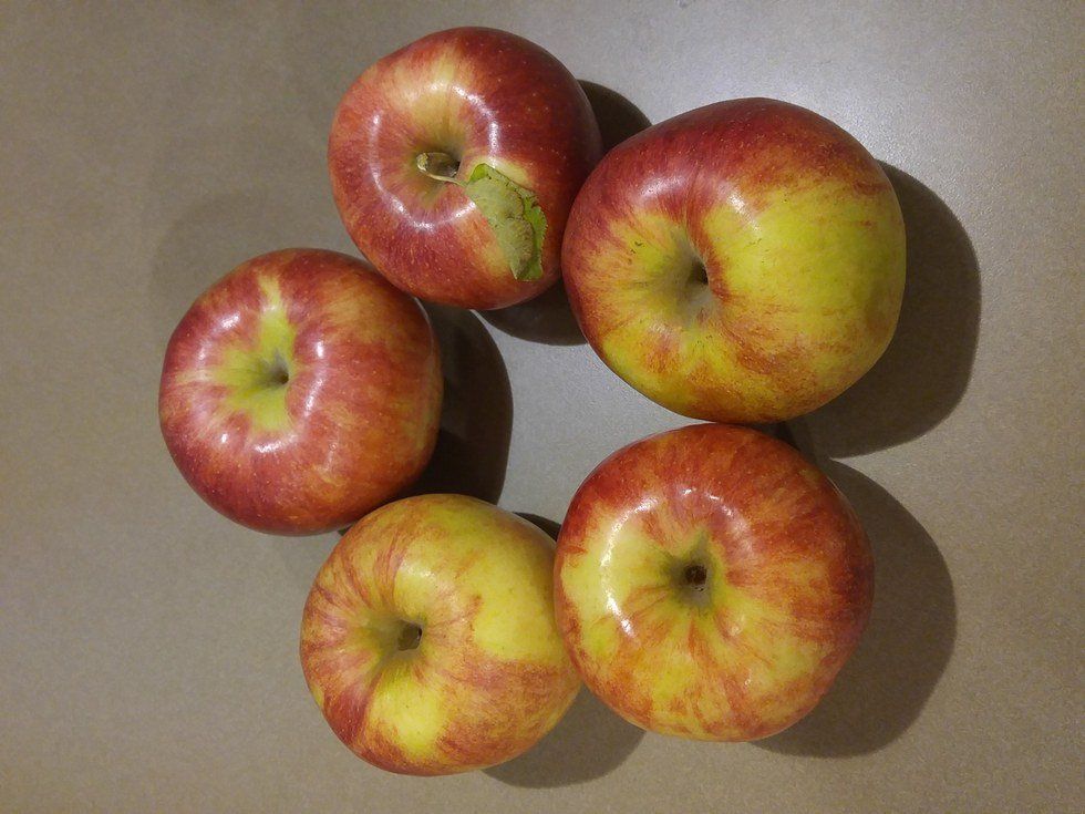 Apple Picking On A Farm