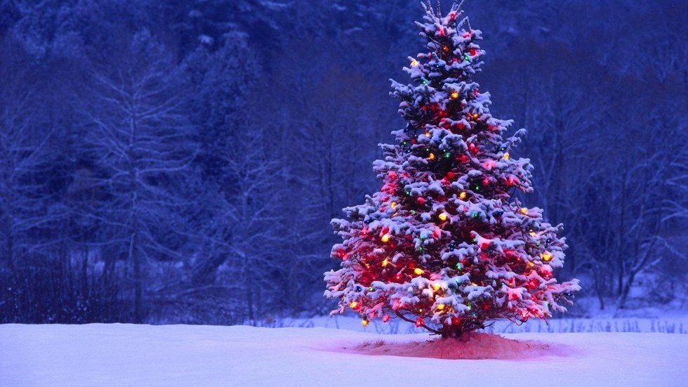 5 Gifs That Describe The Christmas Season