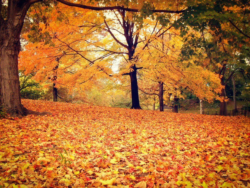 Reasons You Should Welcome The Fall Season