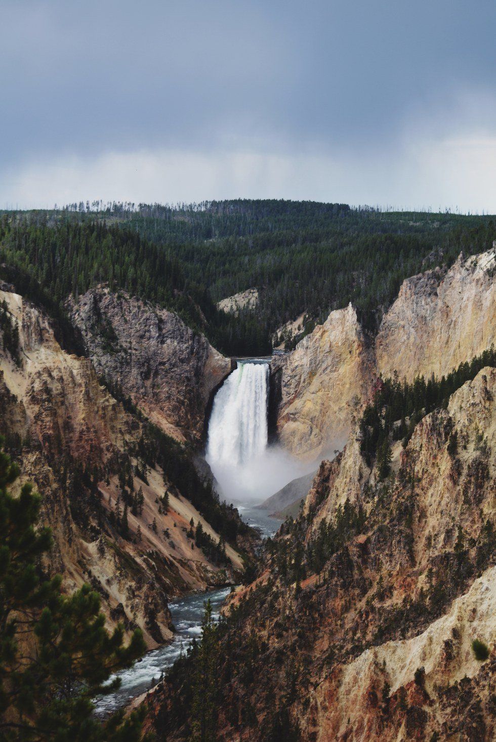 Road Trip Through Yellowstone: A Photo Story