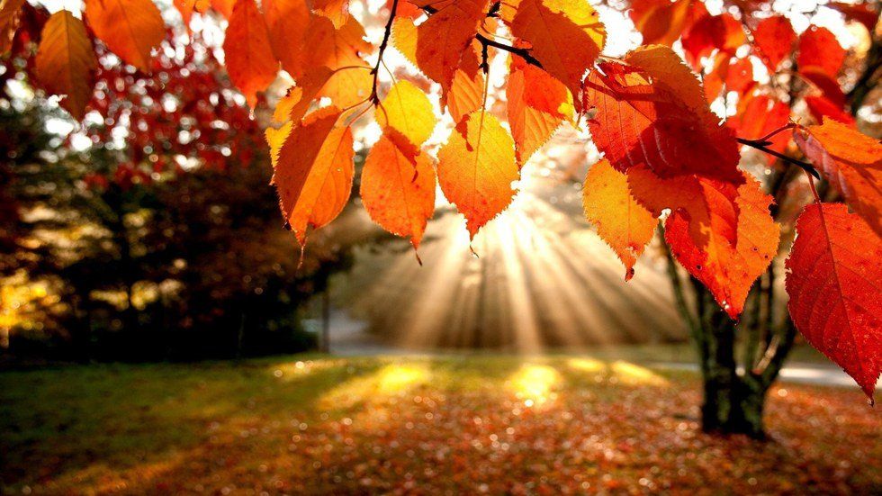 Eight Reasons Fall Is The Best Season