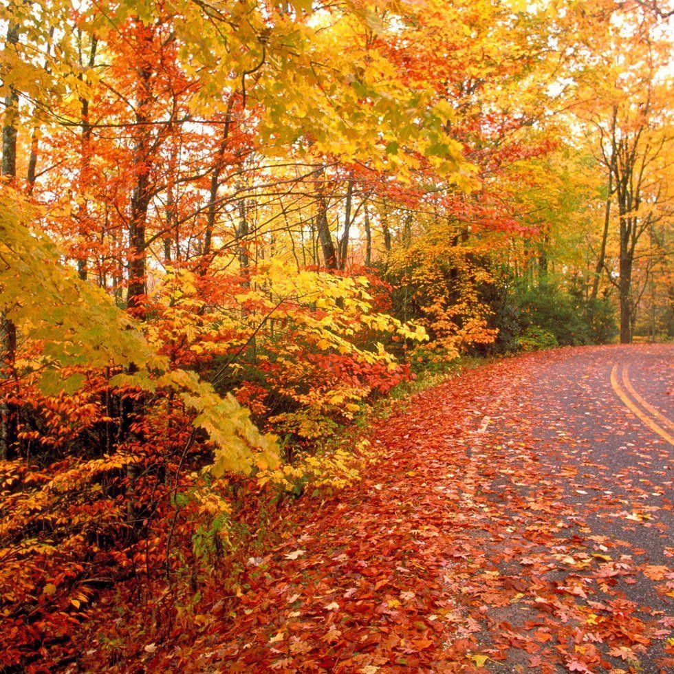 10 Reasons Why Autumn Is The Best Season