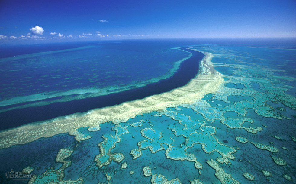 We Are Killing the Great Barrier Reef