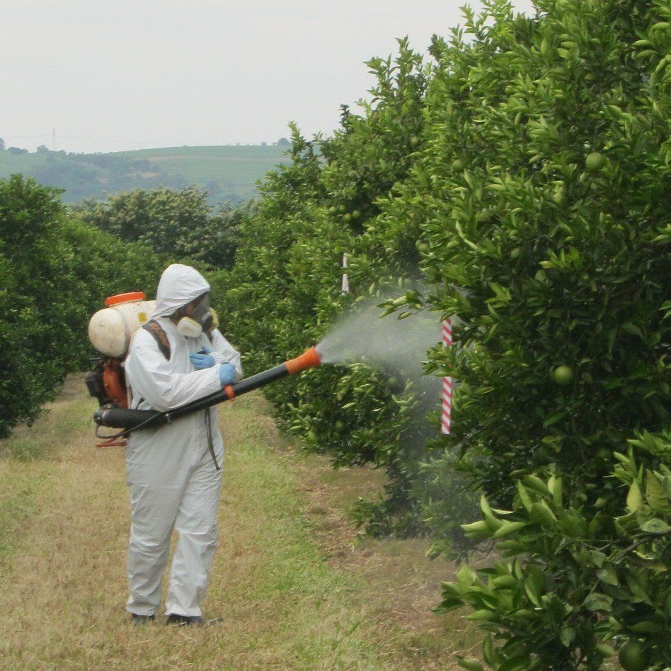 How do Herbicides Work?