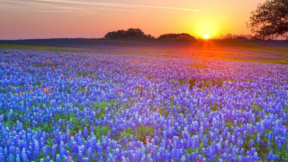 10 Things Texas Has That Other States Don't