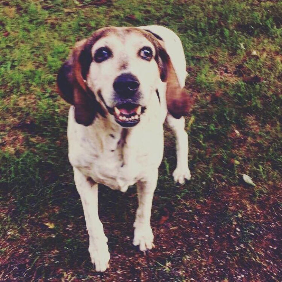 Losing a Furry Friend While at College