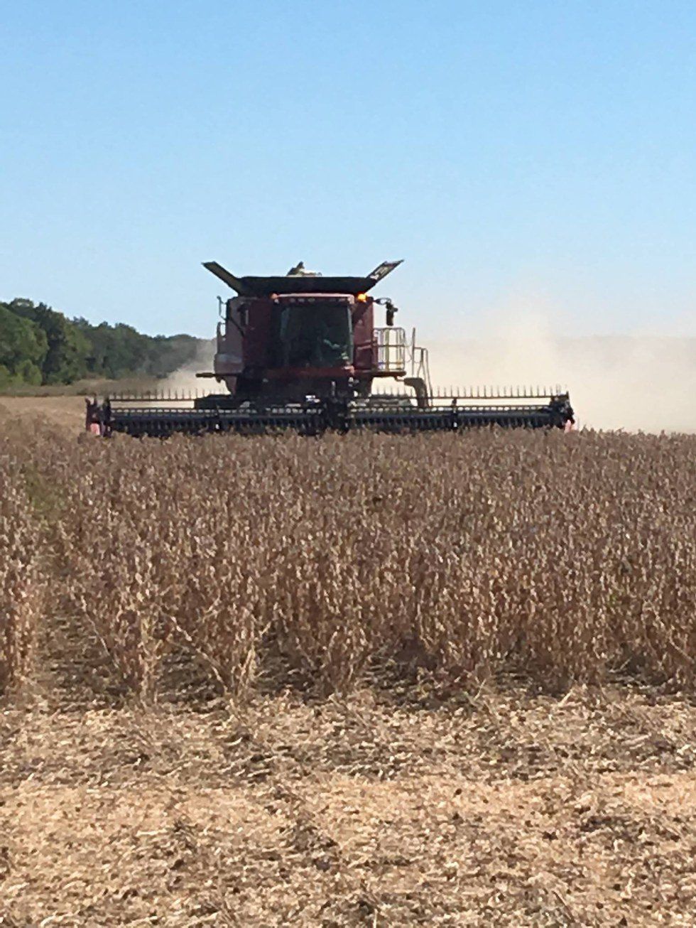 8 Signs You Are A Farmer's Daughter